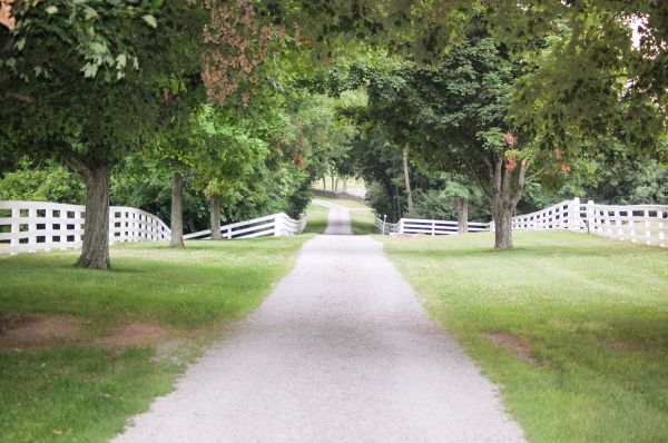 Grow your Driveway Graveling Service business